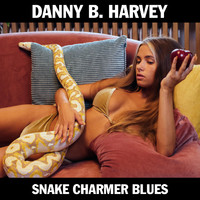 Danny B. Harvey - Snake Charmer Blues