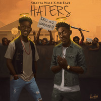 Shatta Wale - Haters