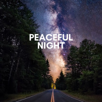 Relaxing Sounds - Peaceful Night