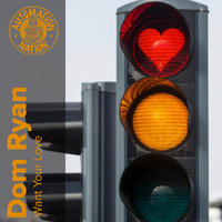 Dom Ryan - Want Your Love