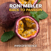 Roni Meller - Back to Passion