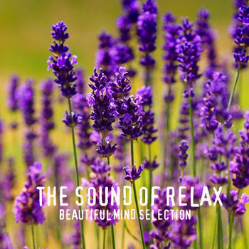 Various Artists - The Sound of Relax (Beautiful Mind Selection)
