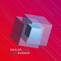 Analogrunner - Echo Cube (Explicit)