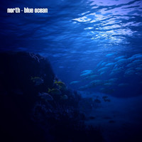 North - Blue Ocean