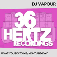 DJ Vapour - What You Do To Me / Night And Day