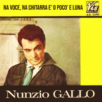 Nunzio Gallo - 'Na Voce, 'Na Chitarra E 'O Poco 'E Luna (Serata Napoletana)