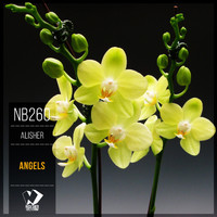 Alisher - Angels