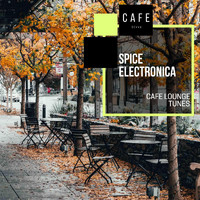 Manohar - Spice Electronica - Cafe Lounge Tunes