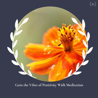 Glenn Walter - Gain the Vibes of Positivity With Meditation