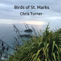 Chris Turner - Birds of St. Marks