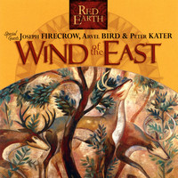 Peter Kater - Wind of the East (CD)