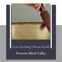 Mia Wilson - Prowess Mind Valley (Peace Instilling Tibetan Sounds)