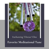 Thomas Wane - Favorite Meditational Tune (Enchanting Tibetan Vibes)