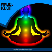 Arogya Spa - Immense Delight - Serene Meditating Sounds