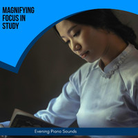 Robin Hayes - Magnifying Focus in Study - Evening Piano Sounds