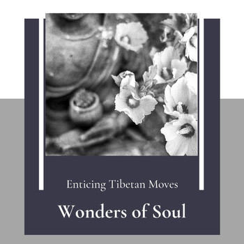 Eva Robinson - Wonders of Soul (Enticing Tibetan Moves)