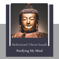 Ashley Ross - Pacifying My Mind (Meditational Tibetan Sounds)