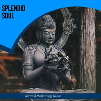 Ambient 11 - Splendid Soul - Mirthful Meditating Music