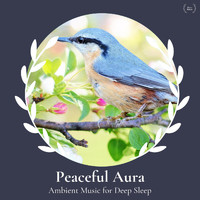 Kakkar Lounge - Peaceful Aura - Ambient Music for Deep Sleep