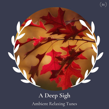 Jason Joshi - A Deep Sigh - Ambient Relaxing Tunes