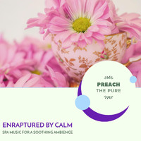 Yogsutra Relaxation Co - Enraptured by Calm - Spa Music for a Soothing Ambience