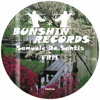 Samuele De Santis - FRM