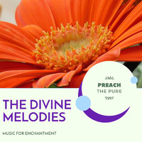Binural Healers - The Divine Melodies - Music for Enchantment