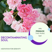 Universal Silence - Decontaminating Soul - Meditation for Serenity