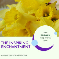 Mystical Guide - The Inspiring Enchantment - Musical Vines of Meditation