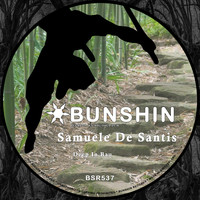 Samuele De Santis - Deep In Bau