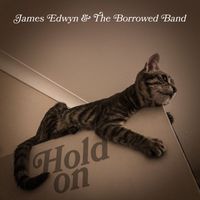 James Edwyn & The Borrowed Band - Hold On