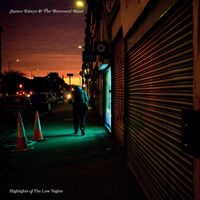 James Edwyn & The Borrowed Band - Highlights of the Low Nights