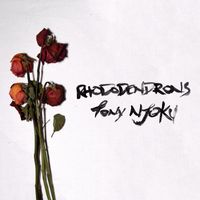Tony Njoku - Rhododendrons