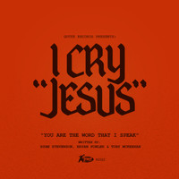 Ryan Stevenson - I Cry Jesus