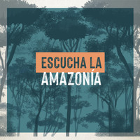 Simón Mejía - Escucha la Amazonía