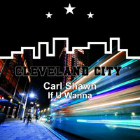 Carl Shawn - If U Wanna