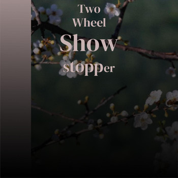 Various Artist - Two Wheel Show Stopper