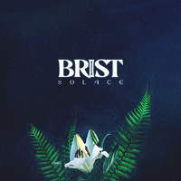 Brist - Solace