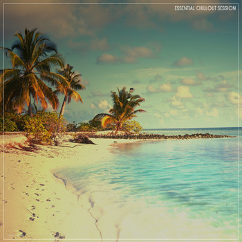 Various Artists - Essential Chillout Session