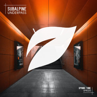 Subalpine - Underpass
