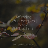 Meditation & Stress Relief Therapy, Musique Zen Garden, Música para Relaxar Maestro - Mindfulness Sounds | Total Chill Ambience