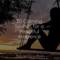 Sleeping Music, Best Relaxing SPA Music, Chakra Meditation Universe - 30 Calming Sounds for a Peaceful Ambience