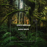 Goetz Oestlind - Slow Waltz