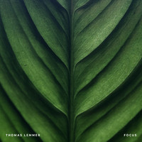 Thomas Lemmer - Focus