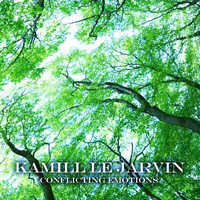 Kamill Le Jarvin - Conflicting Emotions