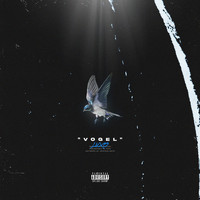 Luxo - Vogel (Explicit)