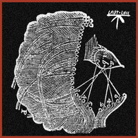 Arutani - Out of Sight