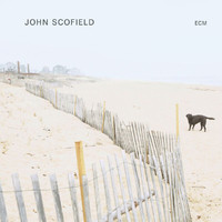 John Scofield - Trance De Jour