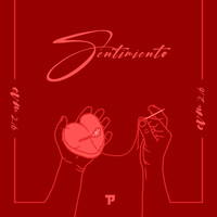 Carles - Sentimiento
