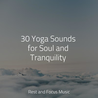 Sounds of Nature White Noise Sound Effects, Preschool Kids, PowerThoughts Meditation Club - 30 Yoga Sounds for Soul and Tranquility
